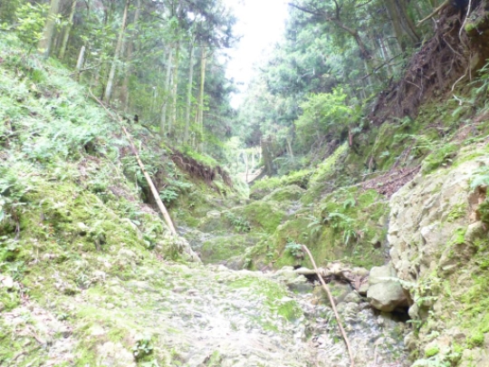 画像9